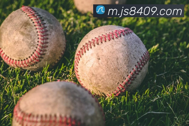 金沙国际平台生态图