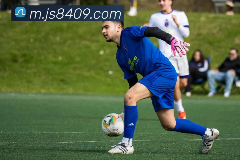 金沙国际APP 封面图